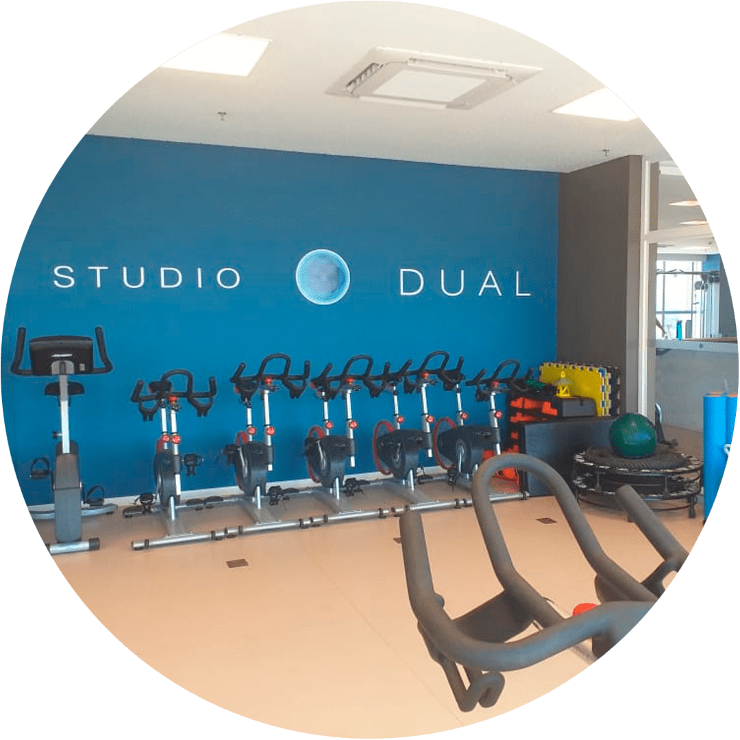 Academia Estudio dual